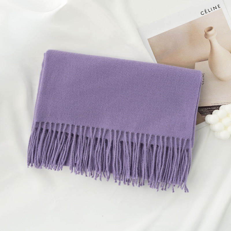 FH24-5889 All-match faux cashmere scarf winter scarf scarf