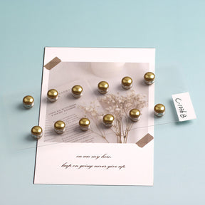 C-1036  Pearl magnet buckle - MOQ:12