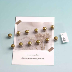 C-1036  Elegant Bread Bead Magnetic Clasp - MOQ:12